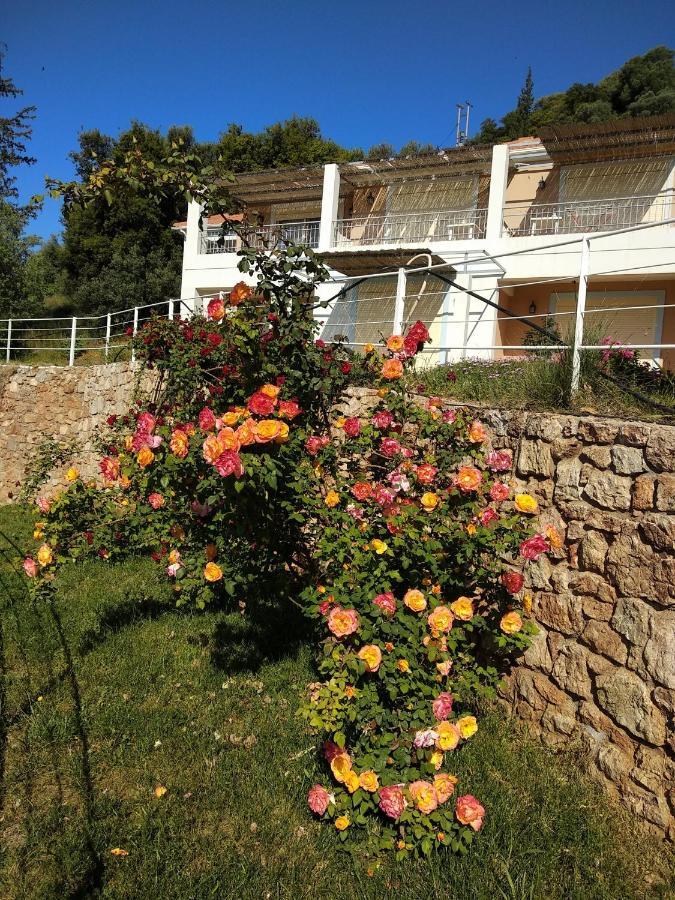 Hotel Theasis Paralia Sergoulas Exterior foto